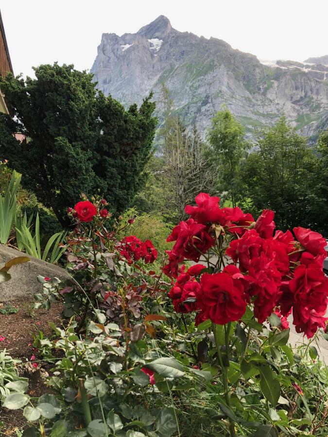 Chalet Zur Hoehe Grindelwald Exterior foto